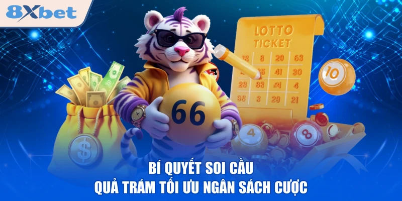 Bí quyết soi cầu quả trám tối ưu ngân sách cược